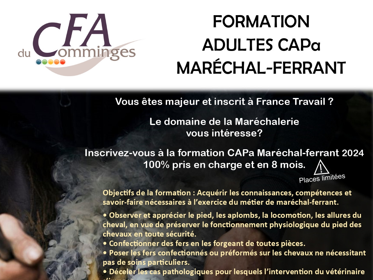 Formation Adultes en Maréchalerie