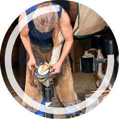 Maréchal-Ferrant en apprentissage